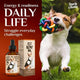 Charlie & Buddy Pet Hemp Oil with an energetic dog promoting playtime.