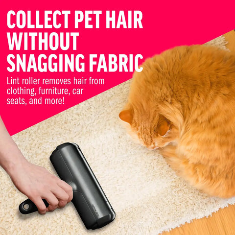 Fabric-safe black ChomChom lint roller picking up orange cat hair from a cream rug.