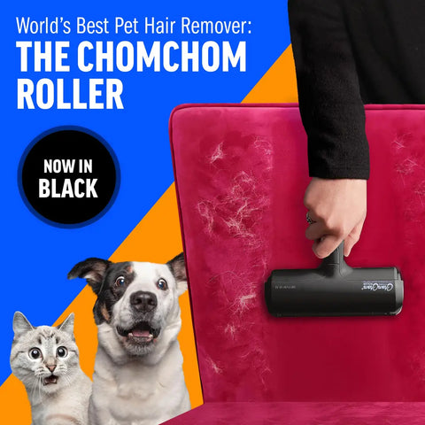 Person using the black ChomChom Roller pet hair remover to clean dog and cat fur off a velvet chair.