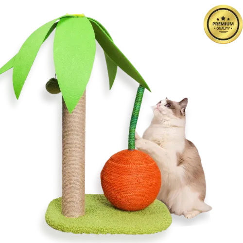 Cat playing with a coconut  tree-shaped scratching post with an orange ball at the base on a white background.