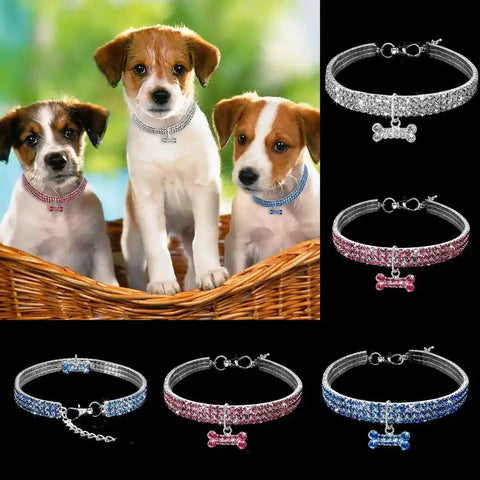Collage of puppies with collars and various dog collars on black.