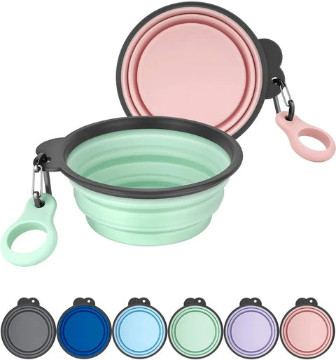 Set of 2 portable collapsible silicone dog bowls in sprout green and pink with carabiner clips