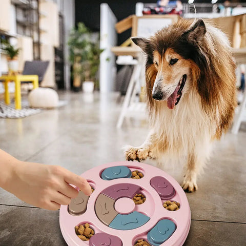 A large Border Collie using its paw to slide compartments on a pink interactive dog treat puzzle.