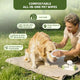 Customer image of a man using a compostable plant based pet wipe to clean a golden retriever dog's face outdoors