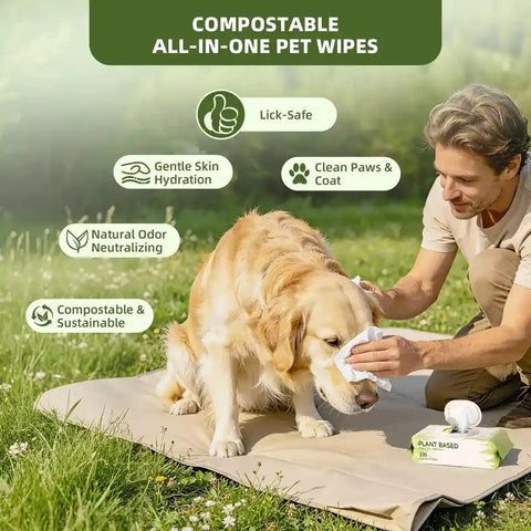 Customer image of a man using a compostable plant based pet wipe to clean a golden retriever dog's face outdoors