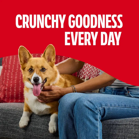 A happy Corgi dog being petted on a couch with the text "Crunchy Goodness Every Day."
