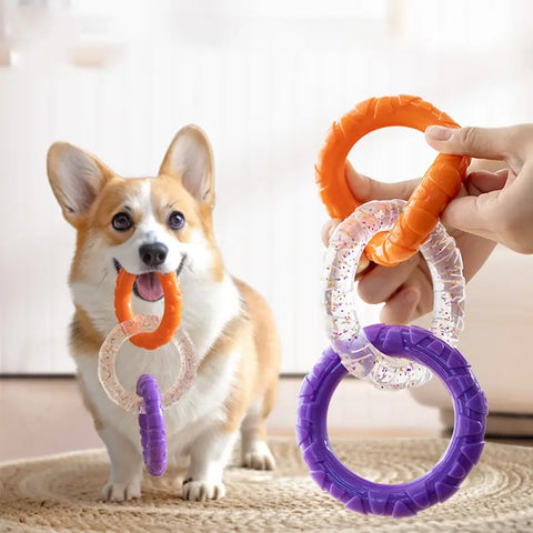 Corgi dog holding interlocking orange, glitter, and purple rubber chew rings in its mouth next to a person holding a matching set