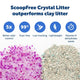 Comparison chart showing PetSafe crystal litter is 99 percent dust-free and low tracking compared to clay.