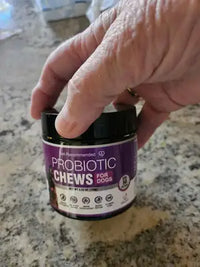 Close-up customer photo showcasing the size of the 50-count dog probiotic chews jar held in a hand over a kitchen counter.