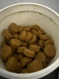 Customer review close-up photo looking down into an open white container, showing the actual texture and appearance of the round, brown dog probiotic soft chews inside.