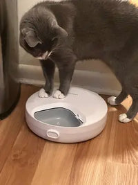 Customer review photo of grey and white tuxedo cat standing over a white Bsemax automatic pet feeder