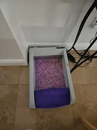 Customer review image showing the PetSafe ScoopFree self-cleaning litter box with lavender crystal litter on a tiled floor.