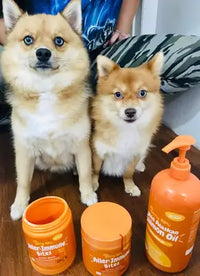 Customer review image featuring two fluffy tan Pomeranian Spitz dogs sitting behind a bottle of Wild Alaskan Salmon Oil.