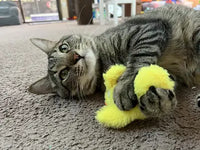 Close-up of tabby cat lying on rug hugging plush yellow duckling toy