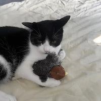 Black and white tuxedo cat resting while cuddling flapping sparrow plush toy