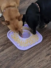 Customer photo of a black Dachshund and tan mixed-breed dog eating treats together from a purple Woof LickMat.