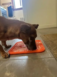 A small brown Dachshund mix dog licking treats off an orange square textured silicone slow feeder mat on gray bathroom floor tiles.