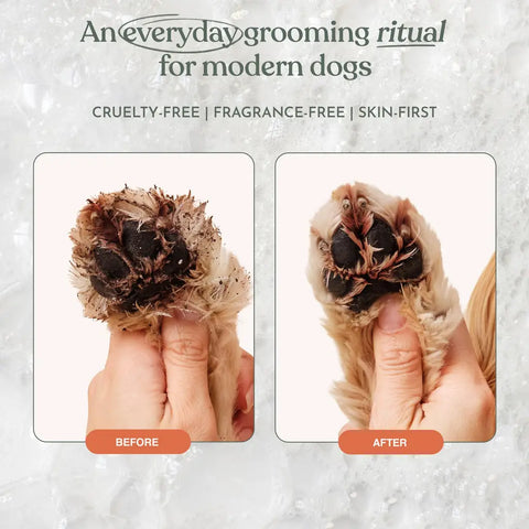 Before and after comparison showing a dirty dog paw completely cleaned using Dandylion Clean Paws everyday grooming ritual.