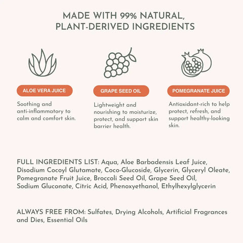 Dandylion Clean Paws ingredients list highlighting aloe vera juice, grape seed oil, and pomegranate juice for healthy dog skin.