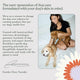 Dandylion founder Carolyn Chen sitting on a bed with two dogs, discussing the brand's mission for healthy dog care.