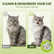 Before and after comparison of a dirty, matted grey longhair cat cleaned and refreshed using a PawSono pet wipe.