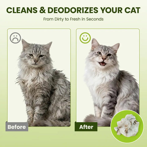 Before and after comparison of a dirty, matted grey longhair cat cleaned and refreshed using a PawSono pet wipe.