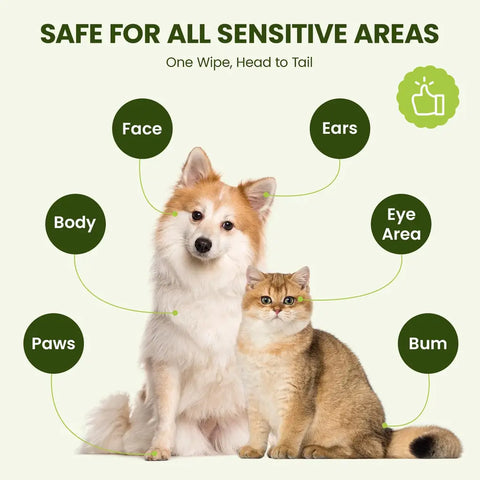 Infographic showing PawSono pet grooming wipes are safe for sensitive areas including paws, body, face, ears, eye area, and bum on a dog and a cat.