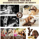 Infographic demonstrating how the interactive dog chew toy addresses excessive excitement, anxiety, and destructive chewing.