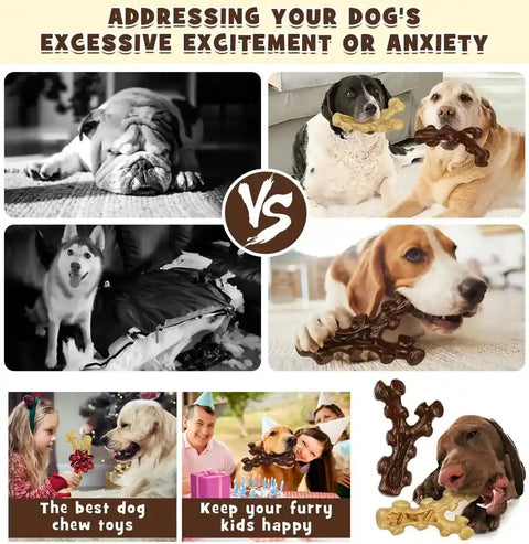 Infographic demonstrating how the interactive dog chew toy addresses excessive excitement, anxiety, and destructive chewing.