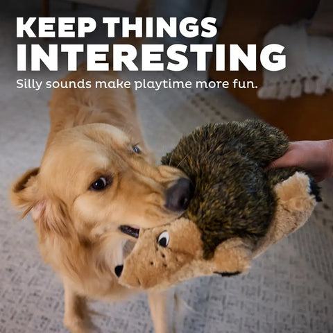 Close-up of a dog biting into the soft hedgehog plush toy during playtime, illustrating the silly sounds and grunter feature.
