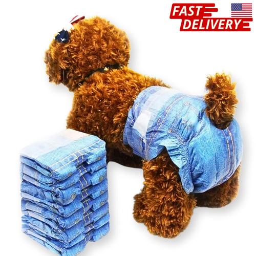 Dog wearing blue denim-style diapers with a stack of similar diapers.