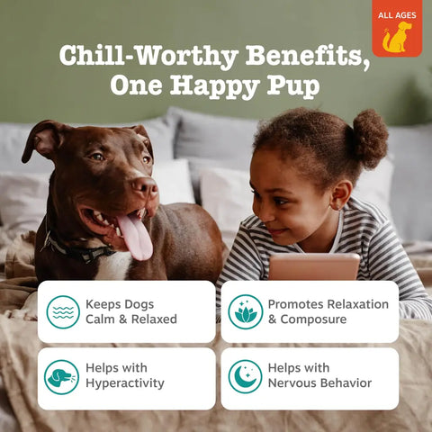 A happy brown dog lying on a bed next to a young girl, featuring text graphics highlighting product benefits like reducing dog hyperactivity and promoting relaxation.