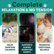 Three-panel graphic showing dogs remaining calm while walking on a leash, during loud firework events, and cuddling with a child for emotional balance.