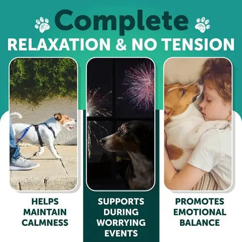 Three-panel graphic showing dogs remaining calm while walking on a leash, during loud firework events, and cuddling with a child for emotional balance.