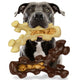 Pitbull dog holding an antler-shaped durable nylon chew toy filled with peanut butter.