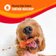 Fluffy brown dog enjoying a Good 'n' Fun chew treat highlighted for reducing tartar buildup.