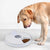 Dog comfortably drinking from an automatic feeder with food storage