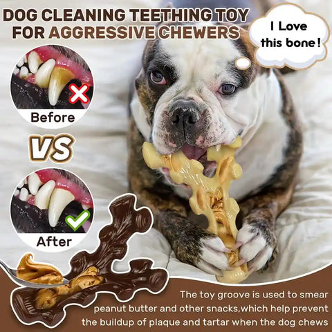 Before and after dental care comparison showing tartar removal on a bulldog chewing a peanut butter-filled toy.