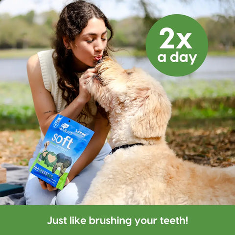 Lifestyle image showing a dog owner with Ark Naturals chews and a "2x a day" usage icon.