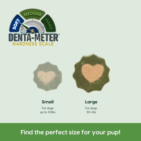 Size comparison guide for small and large dog dental chews with Denta-Meter hardness scale.