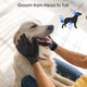 Grooming a golden retriever dog from head to tail using black pet grooming gloves