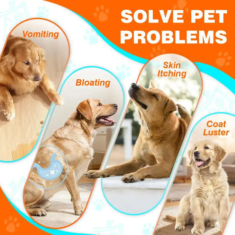 Four dogs illustrating symptoms that probiotics help solve, including vomiting, bloating, skin itching, and poor coat luster.