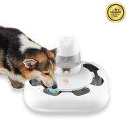 Dog eating from a slow feeding toy