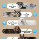 OCPEET professional pet clipper suitability chart for dense double coats, tightly curled coats, long silk coats, and harsh wiry coats.