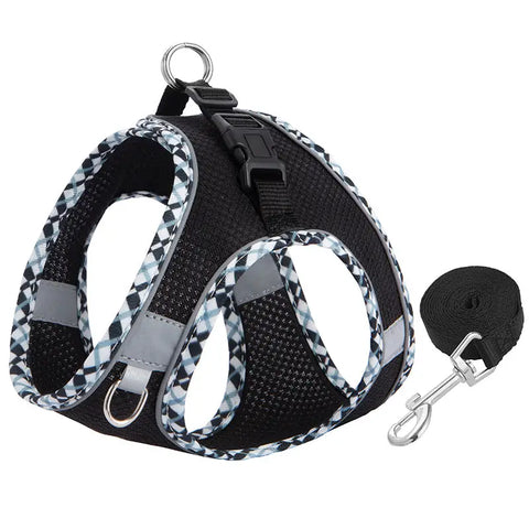 Dog harness with checkered straps and a leash on a white background