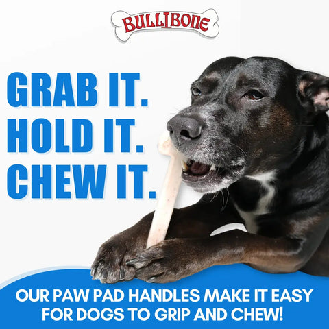 Black dog using easy-hold paw pad handles to grip and chew a Bullibone nylon toy.