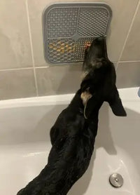 A black dog standing in a white bathtub and licking peanut butter off a gray silicone lick mat suctioned to the shower wall tiles, serving as an anxiety-relieving grooming distraction.