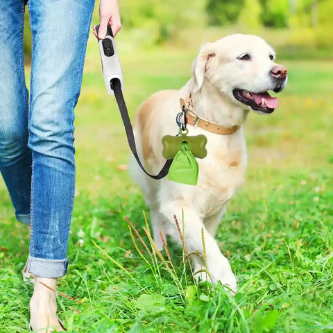 Dog on a leash with a green bag attached, walking in a grassy field.