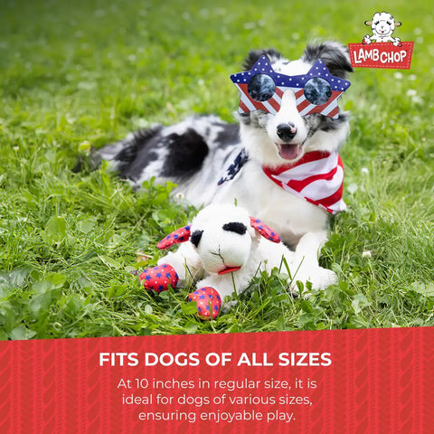 A dog wearing star glasses sitting in the grass with a patriotic themed Lamb Chop toy.
