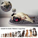 A Pug sleeping on a large grey snuffle mat alongside a lineup of small, medium, and large dog breeds